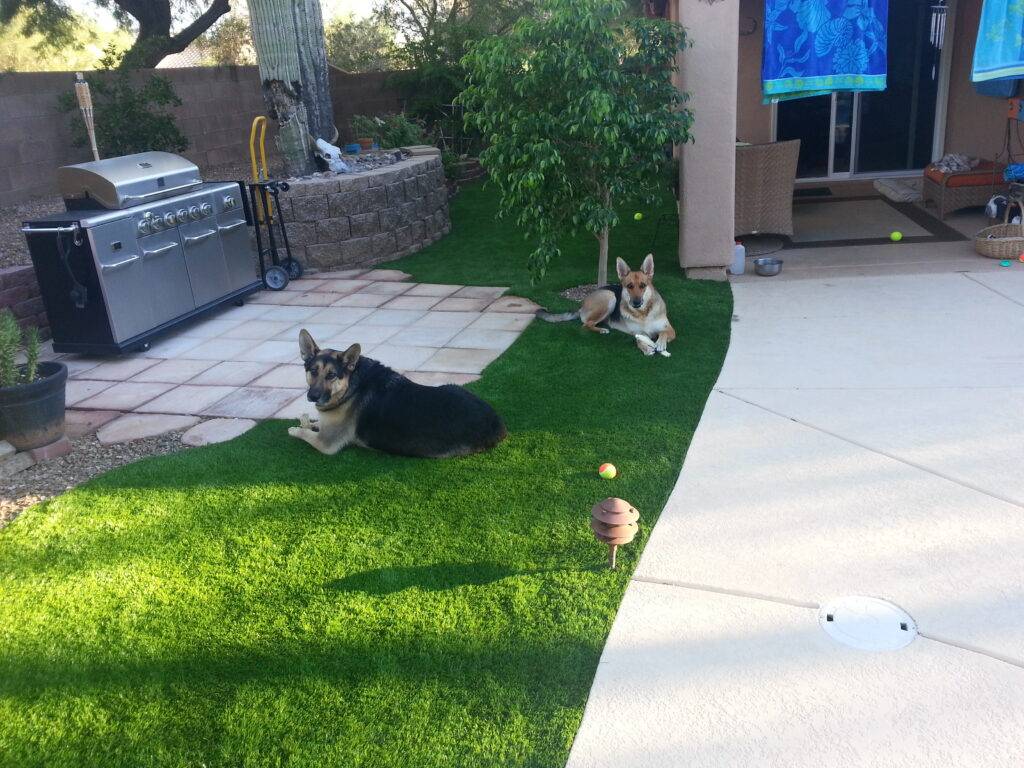 Artificial Grass and Turf Photo Gallery Tucson Turf