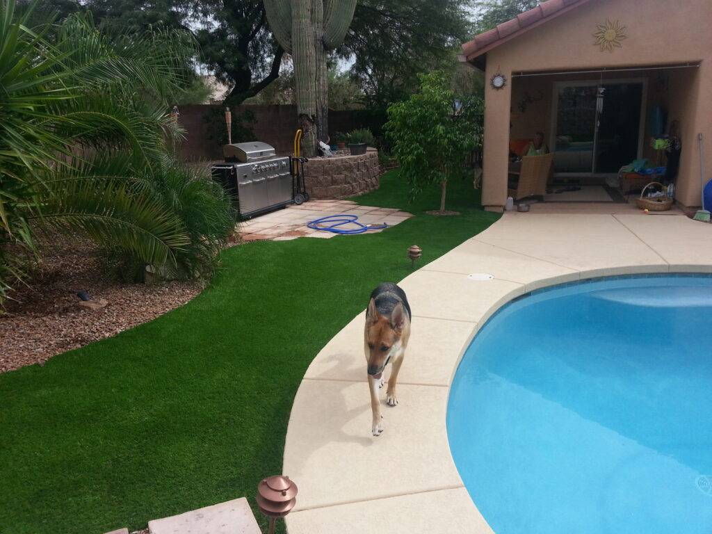 Artificial Grass and Turf Photo Gallery Tucson Turf