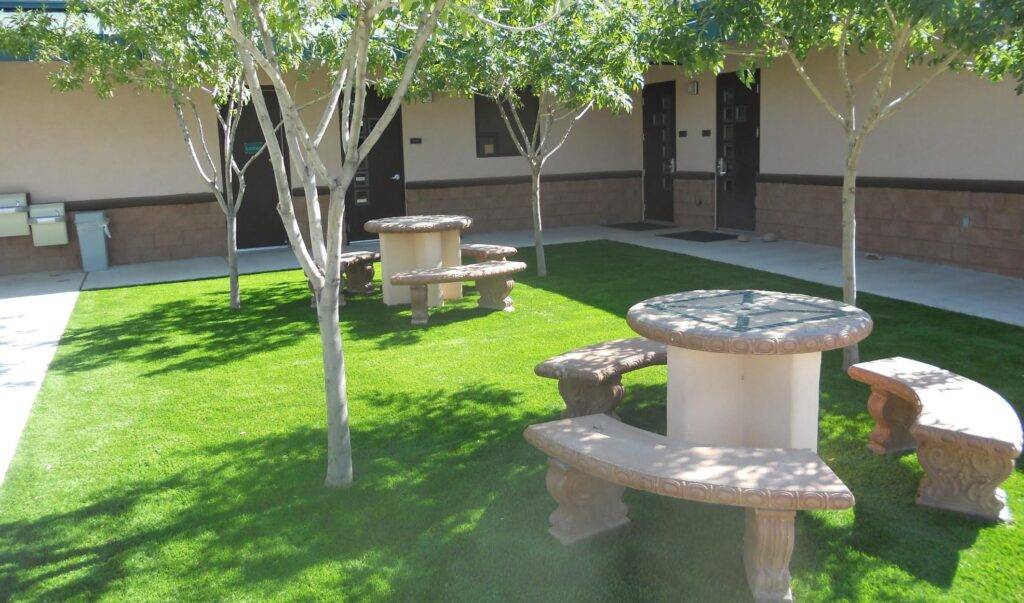 Artificial Grass and Turf Photo Gallery Tucson Turf