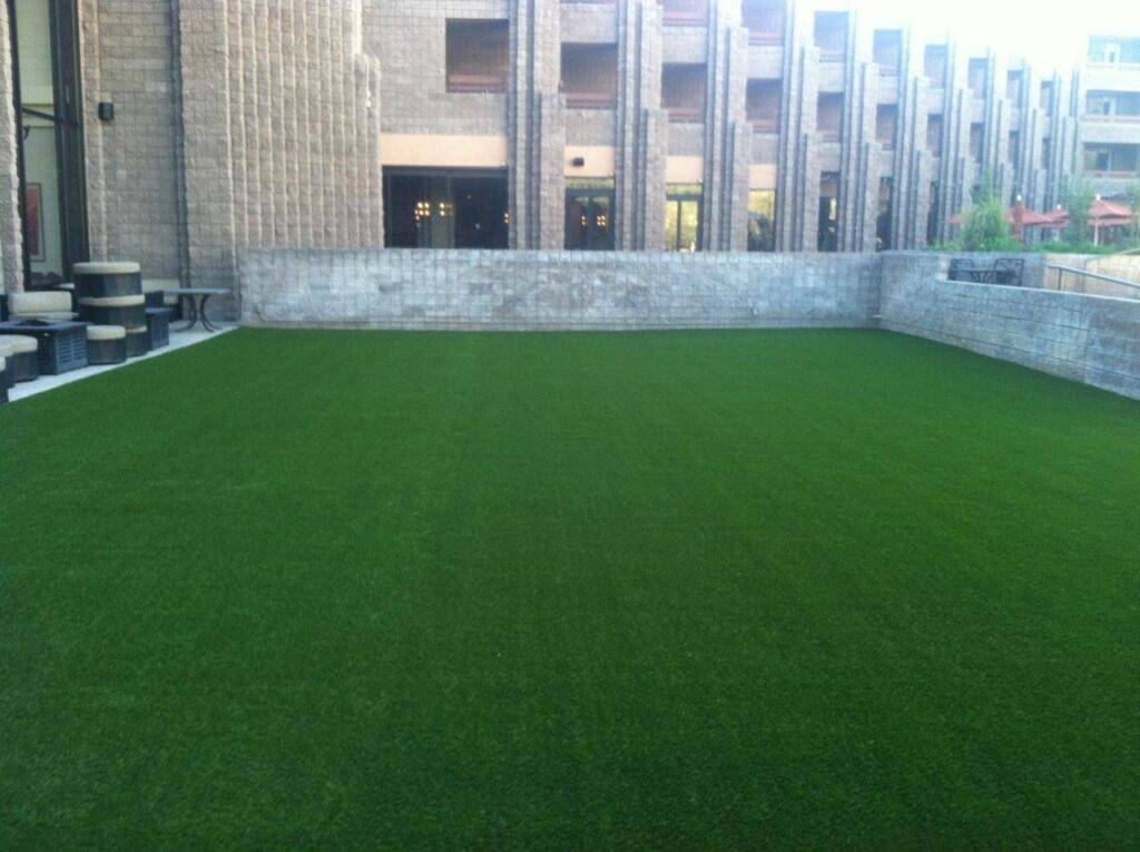 Artificial Grass and Turf Photo Gallery Tucson Turf