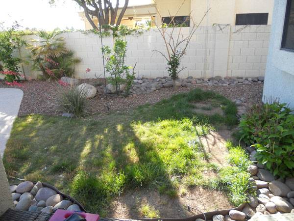 Before Artificial grass - Tucson Turf