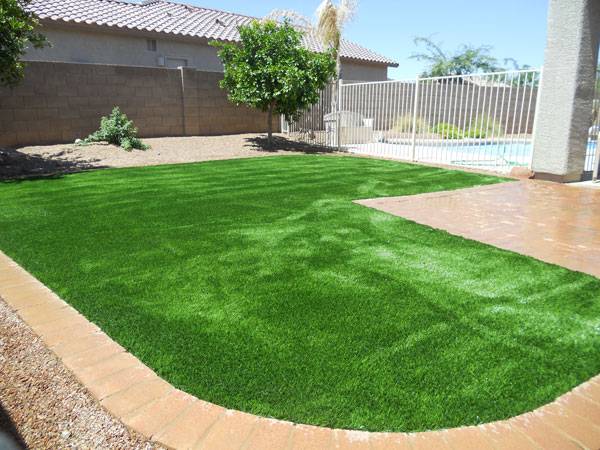 Artificial grass - Tucson Turf