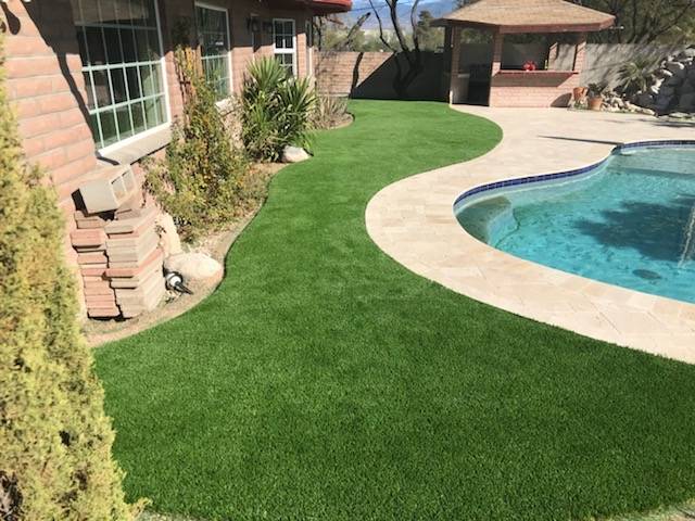 Artificial grass - Tucson Turf