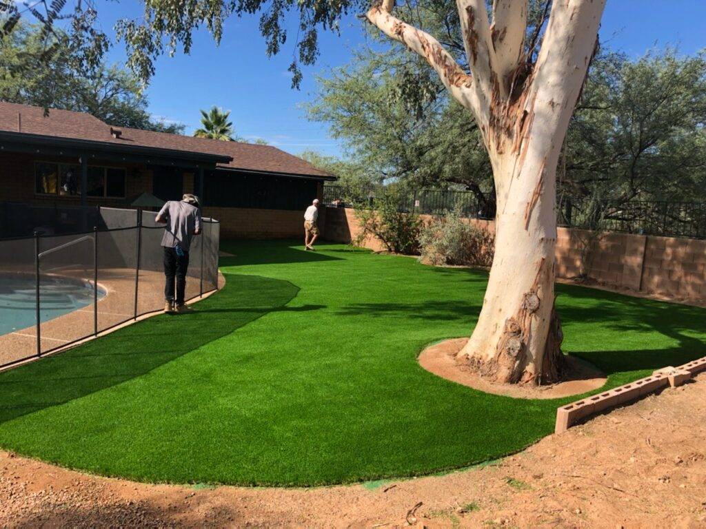 Artificial Grass and Turf Photo Gallery Tucson Turf